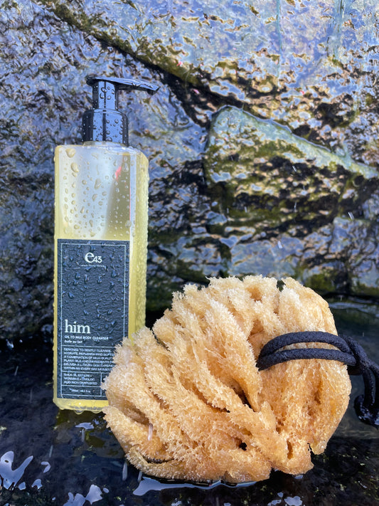 Natural Mediterranean Sea Sponge